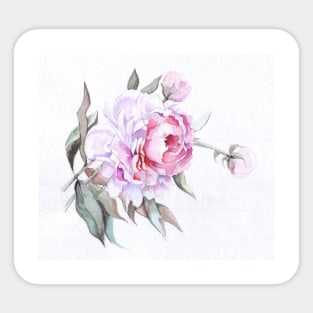 A single Pink Rose - Beautiful Flower Sticker